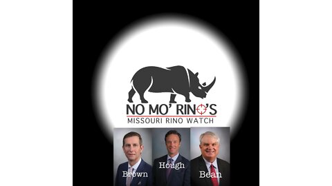 RINOs in the Wild #1