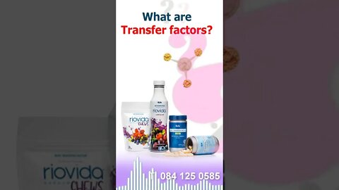 What are transfer factors?