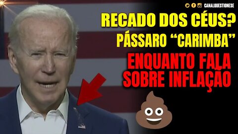 [QUE MICO] Pássaro faz cocô 💩 em Biden enquanto ele culpava Putin pela Inflação 😂