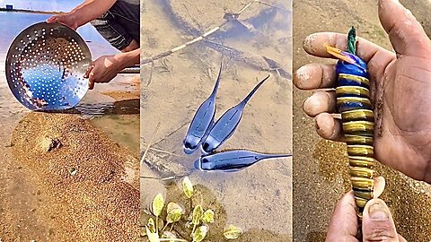 ASMR Hunting Sea Animals Around the Beach