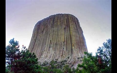 More Petrified Giant Tree Stumps