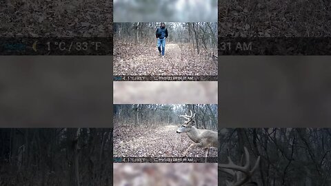 I Was ONLY 5 MINUTES Away From A BUCK!!!