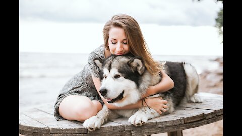 Cute Dogs Getting A Hug By Their Owners Compilation - Sweet And Lovely