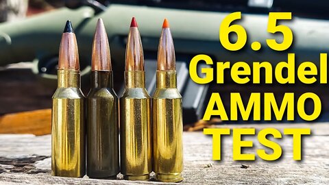 6.5 Grendel AMMO TEST