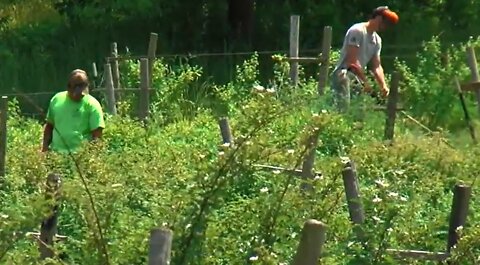 Gakwi:yo:h Farms is working to encourage healthier lifestyles while reconnecting with practices of the past.