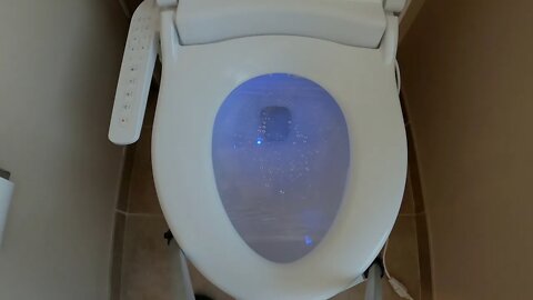 Brondell Swash Bidet CL1500-CW - Functions!