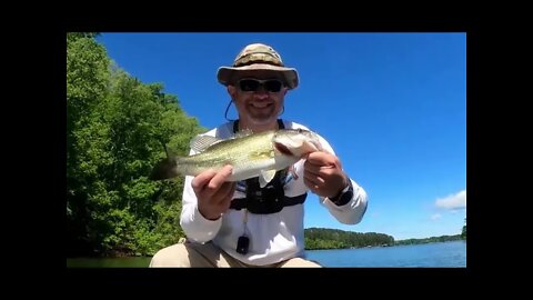 From Spawn to Post Spawn Lake Hartwell Bass