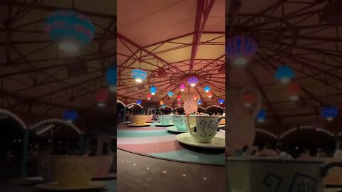 Mad Tea Party ☕️ #teacups #disneyworld #shorts #disneyrides #timelapse #disney #fantasyland #spin