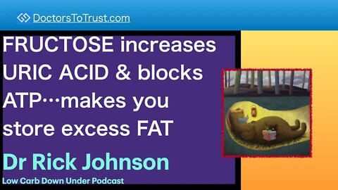 RICK JOHNSON 3 | FRUCTOSE increases URIC ACID & blocks ATP…makes you store excess FAT