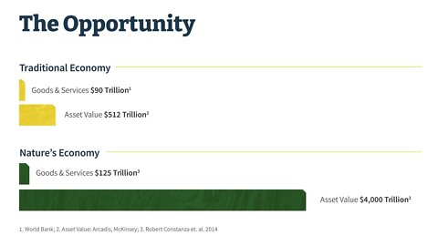 James Corbett Interview - Whitney Webb on How Green Finance is Monopolizing the Planet