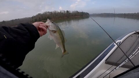 Lake Hartwell & Russell Prespawn Bassin'