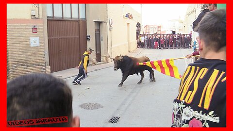 GALLUR ( ZARAGOZA ) TARDE VACAS CALLE ( SABADO 18 FEBRERO 2023 ) HNOS.VELA