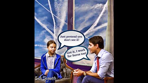 THE VACCINE/CHEMTRAIL DEPOPULATION AGENDA