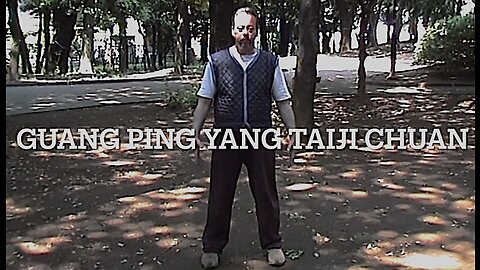 Guang Ping Yang Taiji Chuan 2001 D.D. Harrington Tokyo