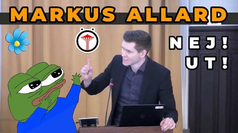 Allard vs SD om islamister och korankravaller