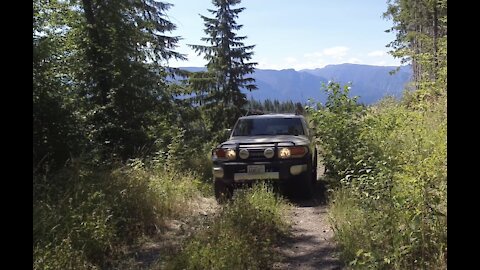 FJ CRUISER RIDING THE STEPHENSON TRAIL