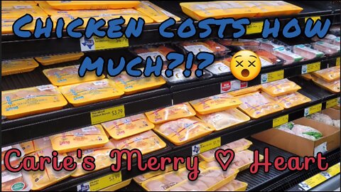 Grocery Haul | Aldi & Super 1 | Inflation & Chicken Shortage