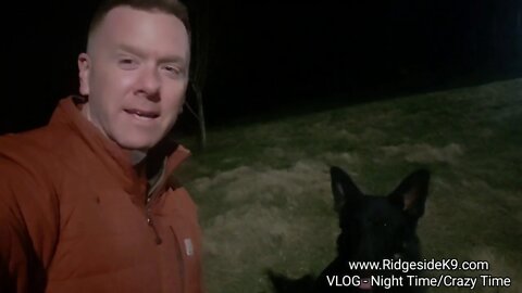 VLOG - Night Time = Crazy Time. German Shepherd, Dutch Shepherd, Belgian Malinois - All In.