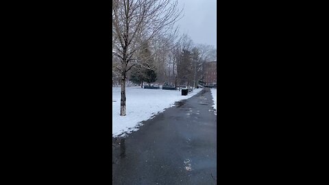 Walking in The Snow New York City