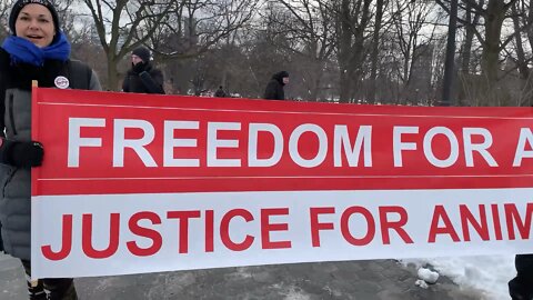 Worldwide Rally for Freedom Toronto part #1