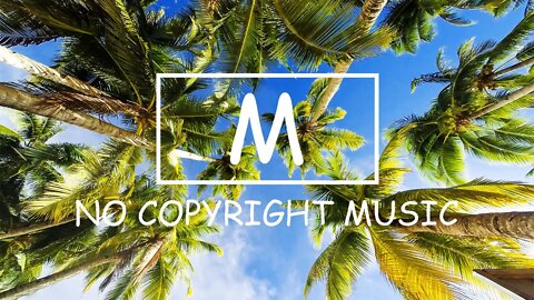 Fredji - Flying High（Mm No Copyright Music）