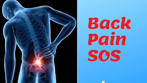 The Back Pain SOS