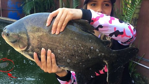 LOCAL SECRETO CHEIO DE PEIXES... Pescaria em São Paulo