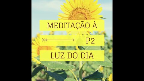 MEDITAÇÂO À LUZ DO DIA- PROGRAMA 02- VISUALIZAÇÃO (VISUALIZAR-SE AÇÃO)