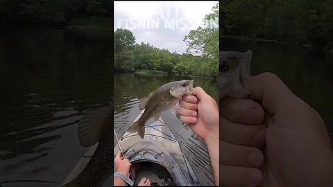 Kayak fishing with a SNAKE!!! (Fish caught!)