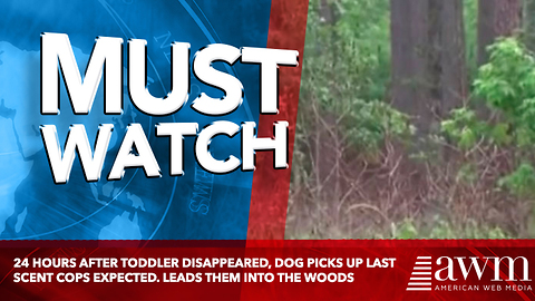 24 Hours After Toddler Disappeared, Dog Picks Up Last Scent Cops Expected. Leads Them Into The Woods