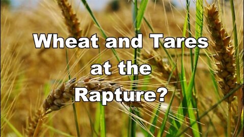 The Last Days Pt 404 - Rapture Pt 9 - Together Until The Harvest