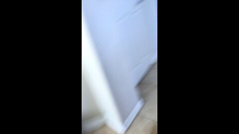 My dog is chasing me