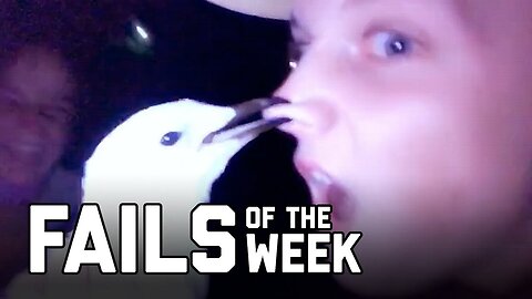 Bird is the Word: Fails of the Week (August 2020)