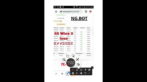 BinaryGeorgia NG.BOT 40 WIN