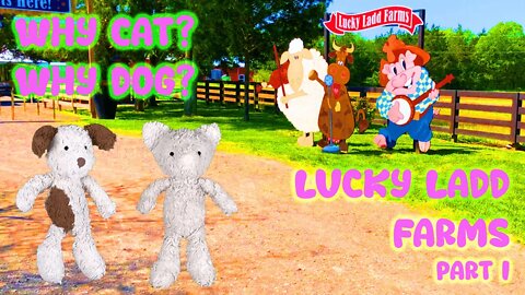 Cat and Dog Visit Lucky Ladd Farm in Tennessee PART 1