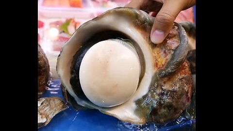 ALIEN SEA SNAIL JAPANESE STREET FOOD