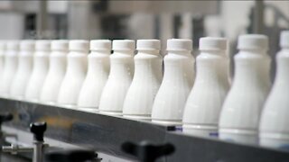 Some Wisconsin dairy farmers say labeling non-dairy products, like almond milk, as 'milk' is misleading