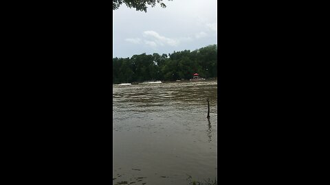 2016 Duck Boat Races Augusta Arkansas