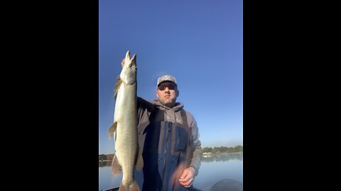 Lake Milton, OH Muskie 10/5/22 Short Clip