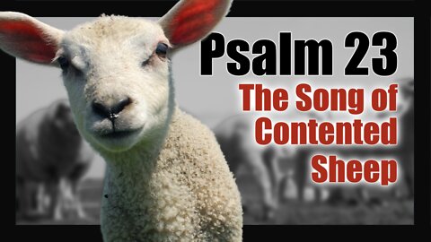 Psalm 23 The Song of Contented Sheep