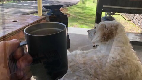 Annealing a couple of farrier rasps