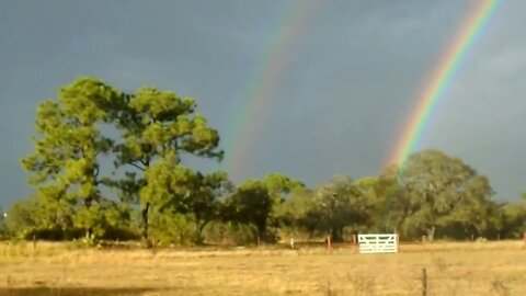 Double Rainbow