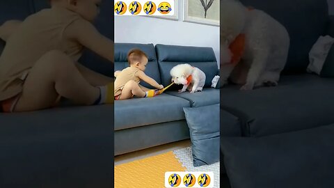 funny dog #funny #youtubeshort #viral #babyshorts