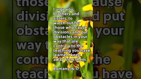 THEY ARE TEACHING WRONG! | MEMORIZE HIS VERSES TODAY | Romans 16:17 With Commentary!