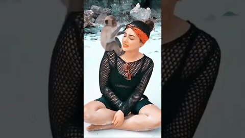 Baby Monkey | Playing With Women | Climbing Top Making Funny Things | Women Entertainment With Baby