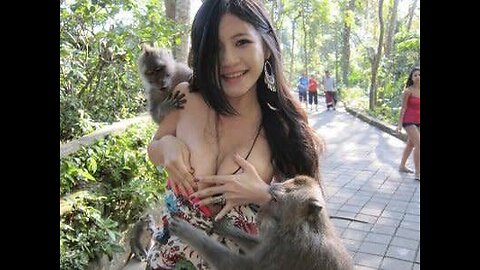 Funny monkey enjoying with the girl 😜😜