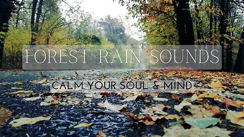 Relaxing natural music | Forest Rain Sounds for Deep Relaxation and Meditation