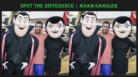 Spot the difference | Adam Sandler