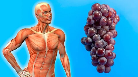 What Happens To Your Body When You Eat Grapes