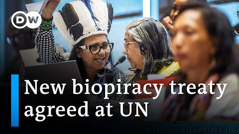 What you need to know about the new treaty to combat biopiracy | DW News